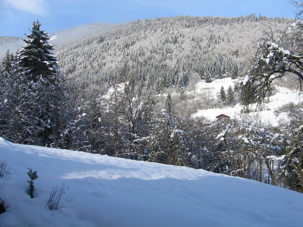 Appartement Borne Saint-Jean-dʼAulps Esterno foto